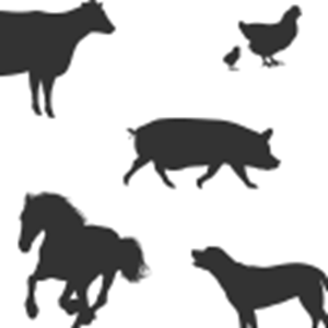 Picture for category Farm Animals