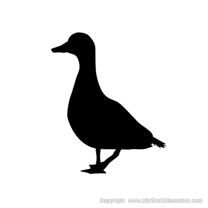 Picture of Duck 61 (Farm Animal Silhouette Decals)