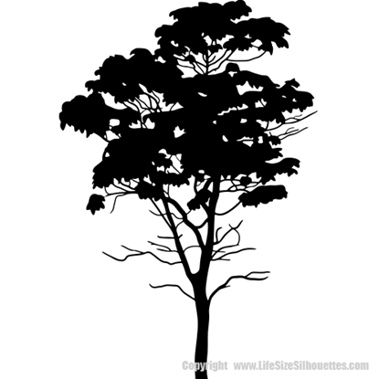 Picture of Tree  8 (Vinyl Wall Decals: Tree Silhouettes)