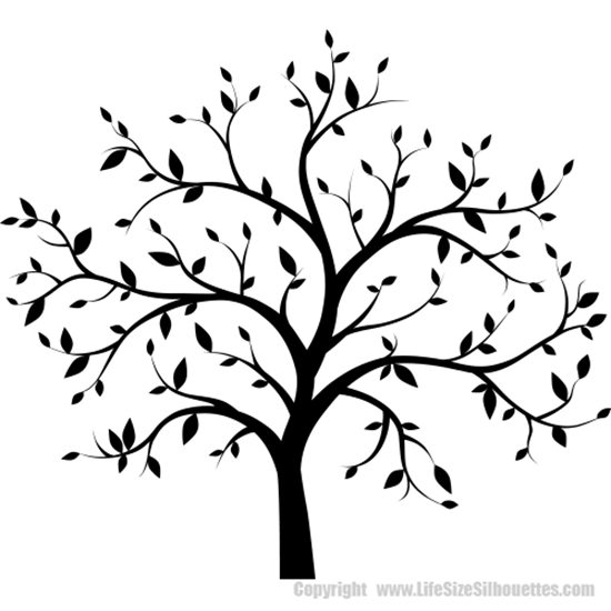 Details about   Wall Decal Life Nature Man Silhouette Tree Meditation Vinyl Sticker ed1148